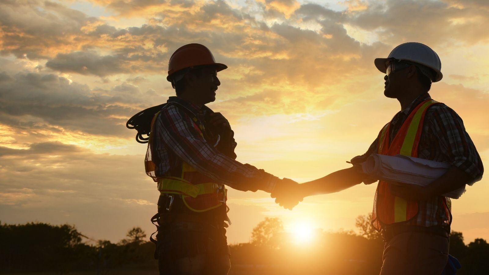 How We Help | Plexos Group